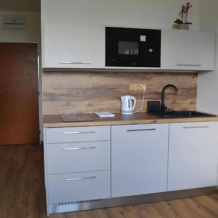 Apartman Benesovka Vacov エクステリア 写真