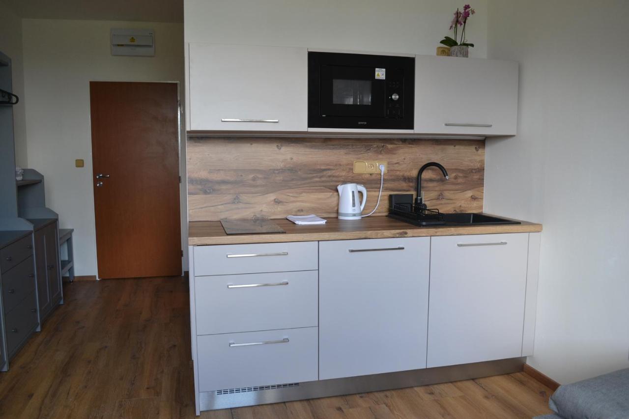 Apartman Benesovka Vacov エクステリア 写真